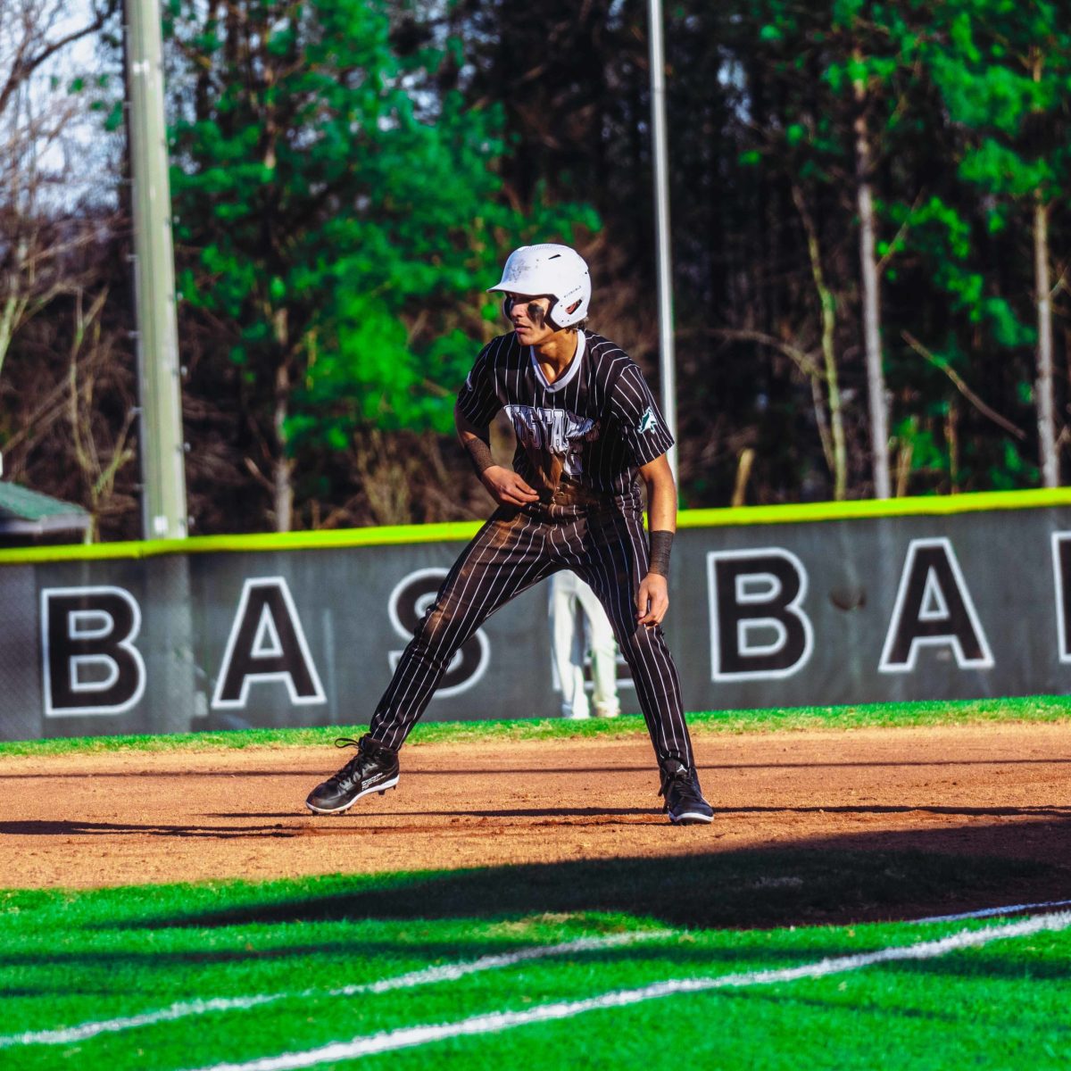 Willie_Prince_Kennesaw_Mountain_baseball.17